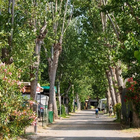 Glamping Lago Trasimeno Luksustelt Tuoro sul Trasimeno